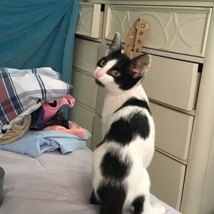 Meet your Posher, Karla